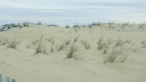 Coastal-Sand-Dunes-and-Tall-Grass-behind-Short-Wooden-Fence-Cape-Henlopen-State-Park-Delaware-United-States-on-a-Overcast-Spring-Day