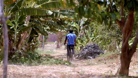 Cyclist-navigates-the-route,-verdant-foliage-bushes-and-trees