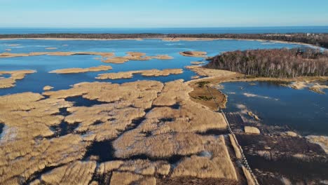 Wooden-Bords-Trail-Through-the-Kaniera-Lake-Reeds-Aerial-Spring-Shot-Lapmezciems,-Latvia