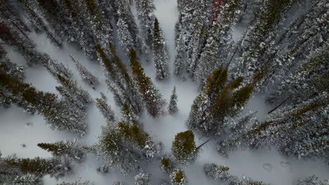 Vogelperspektive-Schneebedeckter-Berthoud-Pass-Winter-Park-Nationalwald-Malerische-Landschaftsansicht-Luftdrohne-Hinterland-Ski-Snowboard-Berthod-Jones-Colorado-Rocky-Mountains-Gipfel-Hohe-Höhe-Nach-Unten-Schwenkbewegung