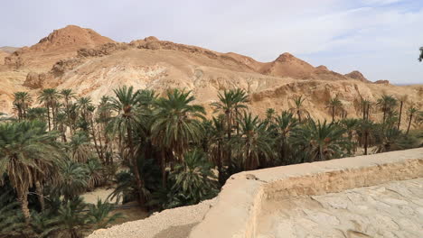 Oasis-with-palm-trees-in-Tozeur,-Tunisia,-surrounded-by-desert-hills-under-a-cloudy-sky