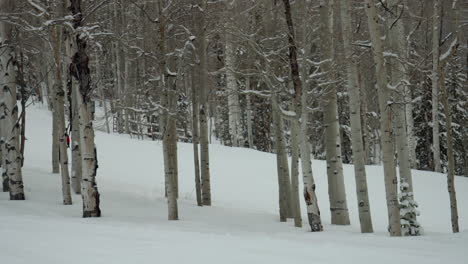 Diciembre-Enero-Navidad-Invierno-Esquiador-Pista-De-Esquí-Correr-álamo-Temblón-Masa-De-Nieve-Desierto-árbol-Bosque-Fresco-Nieve-Polvo-Escénico-Nevando-Colorado-Montañas-Rocosas-Telururo-Crestado-Butte-Vail-Lento-Suave-Pan-Izquierda