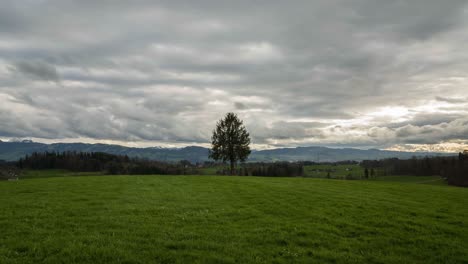 Zeitraffer-Auf-Einem-Hügel-Mit-Einem-Baum