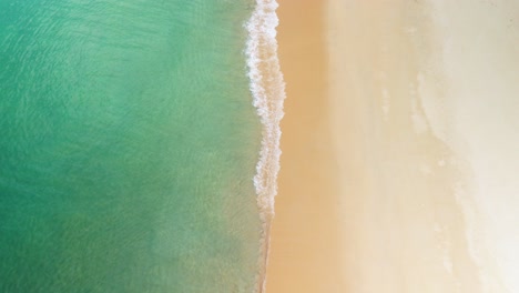 Turtle-Hatching-Beach-Isolated-Remote-Tropical-on-a-Sunny-Day,-Paradise-with-Fine-Sand-and-Turquoise-Clear-Blue-Water,-Aerial-Top-Shot