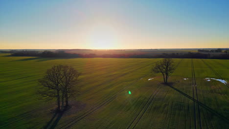 Die-Sonne-Lugt-Gerade-über-Den-Horizont-Und-Scheint-über-Eine-Weite-Grüne-Ebene