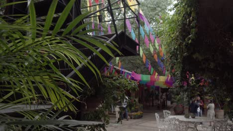 Gente-En-Un-Patio-Al-Aire-Libre-Con-Muchos-árboles-Y-Decorado-Con-Coloridas-Guirnaldas-En-Un-Barrio-De-Oaxaca,-México