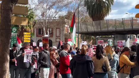 Small-group-of-protesters-in-the-streets-of-Malaga-with-flags-and-posters