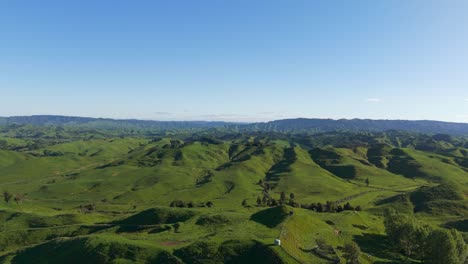 Panorama-De-Colinas-Verdes-Con-Cielo-Azul-En-La-Región-De-Waikato,-Nueva-Zelanda