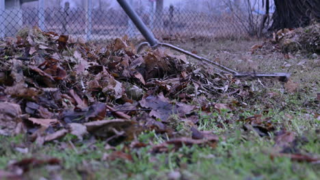 Backyard-Harmony:-The-Art-of-Leaf-Raking
