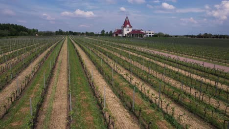 Drone-Shot-of-Zvonko-Bogdan-Winery-and-Vineyards,-Palic-Serbia