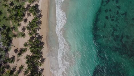 Samana-bay-with-clear-turquoise-water,-lush-palm-trees,-and-a-gentle-surf,-aerial-view