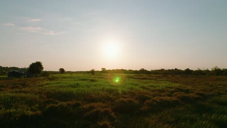 Sunset-over-tranquil-Arauca-fields,-warm-tones-with-greenery,-expansive-outdoor-scene,-golden-hour