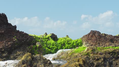 Agua-Que-Se-Filtra-Sobre-Una-Piedra-Infestada-De-Musgo-Cerca-Del-Mar