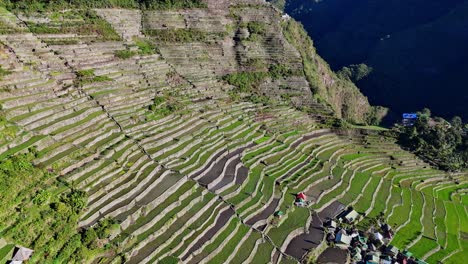 Drone-footage-of-the-famous-Batad-green-rice-terraces-in-north-Philippines-during-dawn