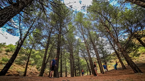 Group-of-people-moving-in-stop-motion-in-the-tall-forest-trees-nature