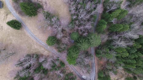 Top-down-view-of-single-road-splitting-up-into-two-,-drone-shot-of-road-surrounded-by-pine-forest-with-small-hut-and-lake