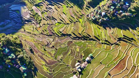 Drohnenaufnahmen-Von-Oben-Von-Den-Berühmten-Batad-Grünreisterrassen-Im-Norden-Der-Philippinen-Im-Morgengrauen