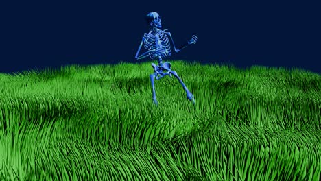 Skeleton-playing-guitar---green-grass-