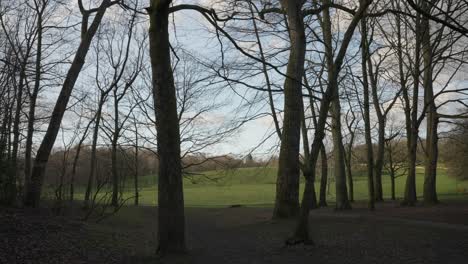 Ein-Malerischer-Tag-Im-Park,-Mitten-In-Einer-Stadt