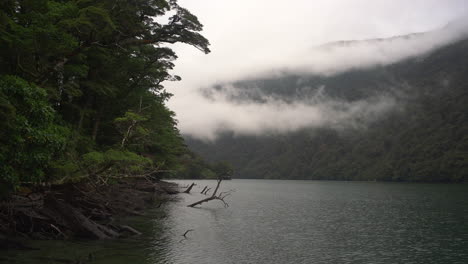 A-view-of-the-tranquil-lake-in-Fiordland-New-Zealand-with-the-lush-vegetation-of-trees-and-the-fog-adding-drama-to-the-sight