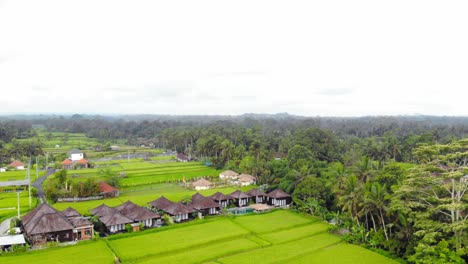 Kleine-Traditionelle-Balinesische-Hütten-Inmitten-Der-Reisfelder