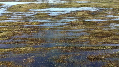 Aerial-field-of-grass-is-covered-in-water-and-mud