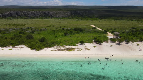 Aerial-trucking-shot-showing-green-landscape-of-Dominican-Republic