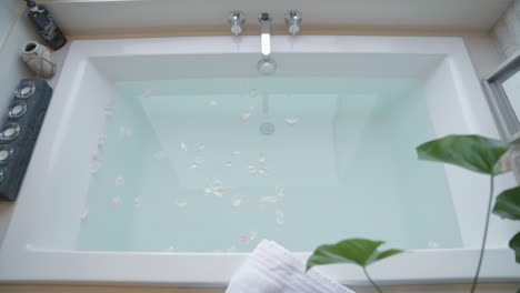 Whirlpool-Badewanne,-Draufsicht-Mit-Blütenblättern-Auf-Der-Wasseroberfläche,-Luxus-Spa-Resort-Hotel