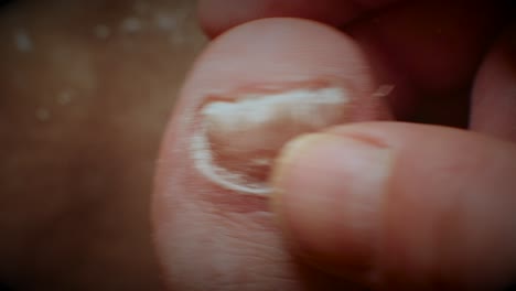 Well-lit-macro-shot-enthusiastically-filing-down-big-toe-nail-with-fungal-infection,-revealing-detail