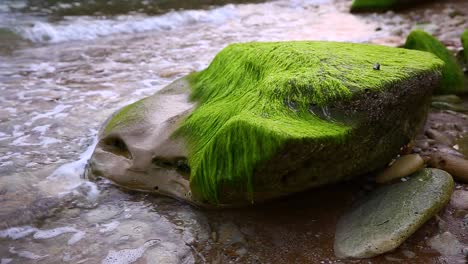 Grüne-Algen-Bedecken-Den-Steinfelsen-Am-Strand-Am-Meer,-Die-Meereslandschaft-Mit-Wundervollem-Hintergrund,-Tropisches-Klima,-Lebendige,-Farbenfrohe-Aussicht,-Meereswelle,-Sandstrand,-Erholungs--Und-Freizeitreisekonzept