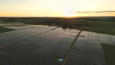 aerial-view-of-a-huge-solar-panel-station-during-an-orange-sunset-time-in-Pereira-Barreto,-Sao-Paulo,-Brazil