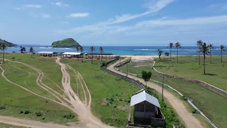 Drone-view-of-a-buffalo-filed-in-Areguling-village-in-Lombok