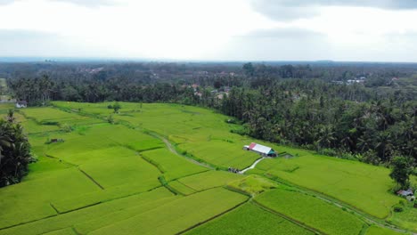 Aerial-View-Over-Kayangan-Villa-Ubud-And-Green-Rice-Fields-In-Indonesia---aerial-Drone-Shot