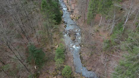 Bird's-eye-view-above-serene-river-flowing-between-leafless-forest