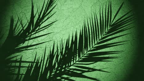 Pflanzenschatten-über-Einer-Wand,-Die-Sich-Von-Einer-Sommerbrise-Bewegt,-Schleifensequenz,-3D-Rendering-Animation,-Grüner-Hintergrund