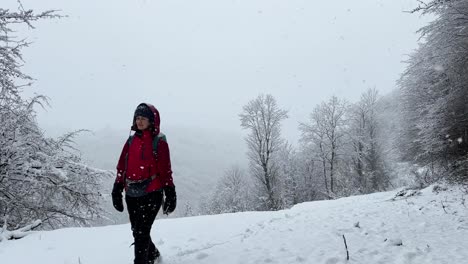 a-woman-wear-red-jacket-in-cold-winter-snowfall-have-fun-looking-at-camera-hiking-in-heavy-snow-toward-camera-the-wonderful-winter-travel-adventure-wide-view-of-Hyrcanian-forest-in-winter-season