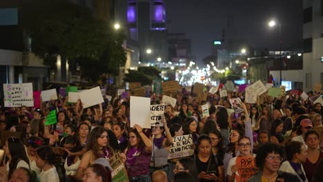 protest-banner,-Feminism