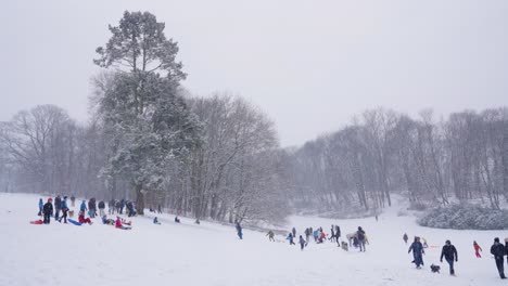 Hermoso-Paisaje-Invernal-Con-Copos-De-Nieve-Cayendo