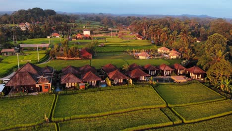 Aerial-View-Over-Kayangan-Villa-Ubud-And-Green-Rice-Fields-In-Indonesia---Drone-Shot-during-golden-hour