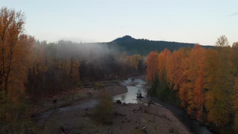 Aerial-Following-the-River's-Course-Showcases-Fallen-Logs-and-Colorful,-Tall,-Majestic-Trees-Around-Mount-St-Helens