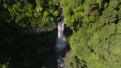 Tilt-reveal-shot-of-Nachi-Taisha-waterfall,-the-biggest-of-Japan