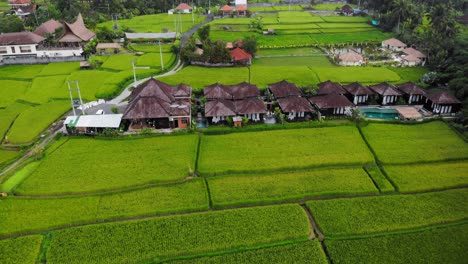scenic-rice-fields-and-small-traditional-Balinese-houses-nestled-amidst-the-rice-paddies,-showcasing-the-idyllic-rural-landscape-of-Bali,-Indonesia