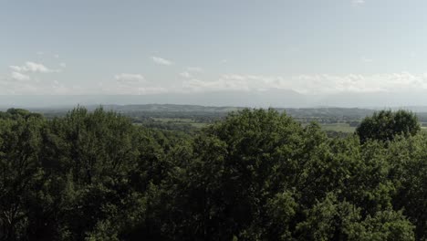 Drone-flying-over-tree-with-countryside-in-background,-Atlantic-Pyrenees-in-France