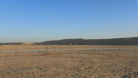 Paisaje-Seco-Del-Desierto-Tunecino-Con-Cielos-Despejados-Y-Colinas-Distantes,-Valla-En-Primer-Plano.