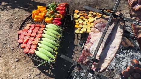Colorful-Grill-Delights:-Vibrant-Veggies-and-Smoky-Ribs-in-the-Fields