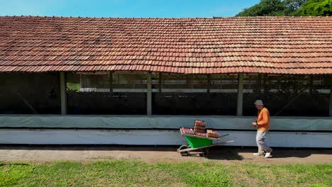 Hombre-Recogiendo-Huevos-De-Gallinas-Camperas-Felices-Con-Una-Carretilla-En-Una-Granja-En-El-Campo-De-São-Paulo,-Brasil