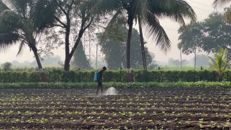 Toma-Pov,-Un-Hermano-Está-Fumigando-Sus-Cultivos-En-Un-área-Grande-Rodeada-De-Muchos-Cocoteros