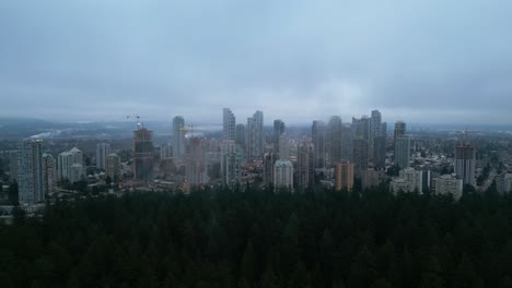 Aerial-view-of-urban-skyline-framed-by-lush-foliage