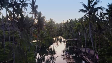 Berühmte-Palmenschaukel-Am-Maasin-Fluss-Der-Insel-Siargao-Bei-Sonnenuntergang,-Luftaufnahme