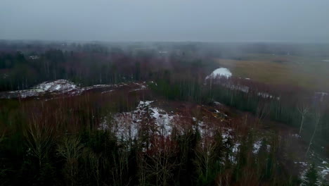 Luftdrohne-Schoss-An-Einem-Bewölkten-Tag-über-Weißen-Schnee-Entlang-Einer-Ländlichen-Landschaft,-Umgeben-Von-Nadelbäumen